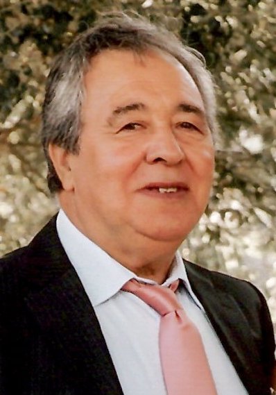 DAVID ANTONIO DOS SANTOS GONÇALVES